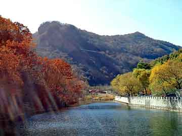 澳门二四六天天彩图库，黎城seo建站